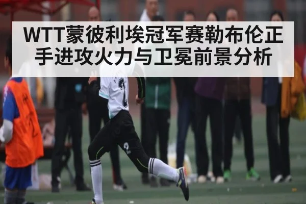 WTT蒙彼利埃冠军赛勒布伦正手进攻火力与卫冕前景分析